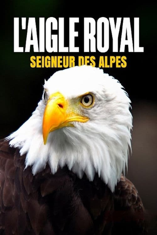 L'aigle royal, seigneur des Alpes