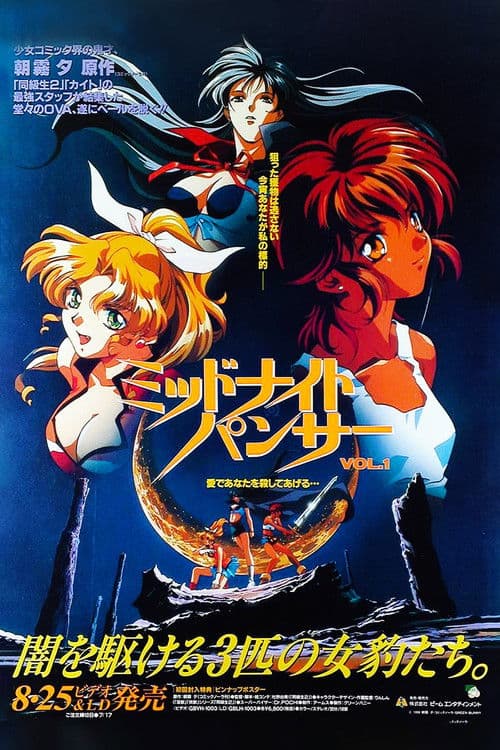 미드나이트 팬서