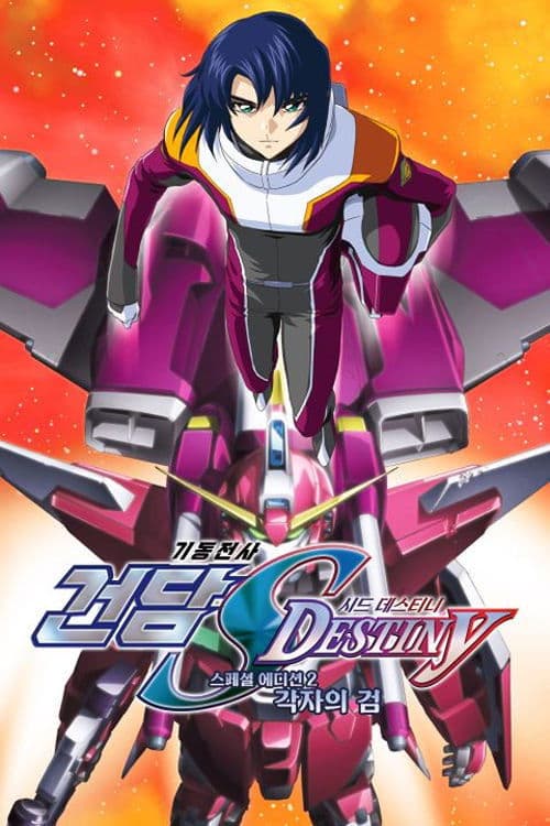 기동전사 건담 SEED DESTINY 스페셜 에디션: 각자의 검