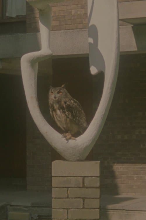 여기 아래에 나무