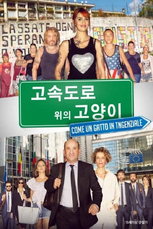 고속도로 위의 고양이