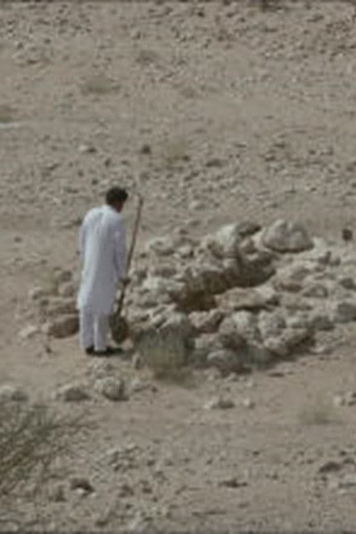 리오 짐의 노래