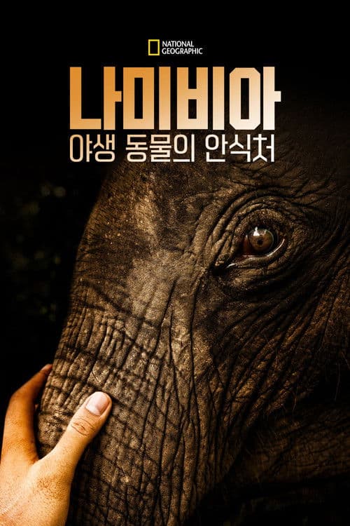 나미비아: 야생 동물의 안식처