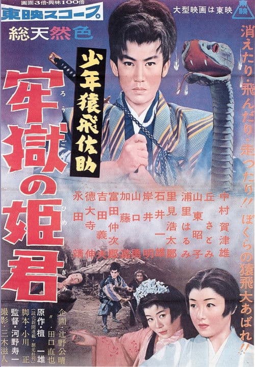 少年猿飛佐助 牢獄の姫君