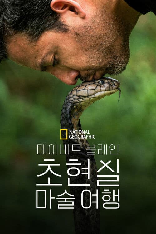 데이비드 블레인: 초현실 마술 여행