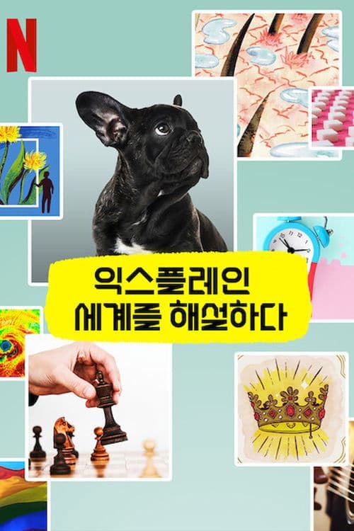 익스플레인: 세계를 해설하다