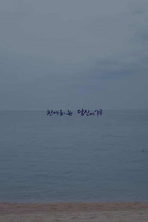 친애하는 당신에게