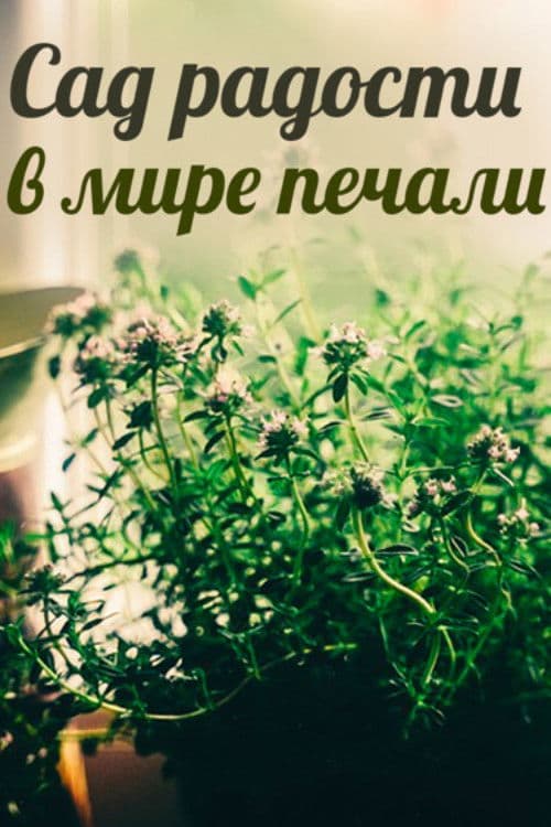 Сад радости в мире печали