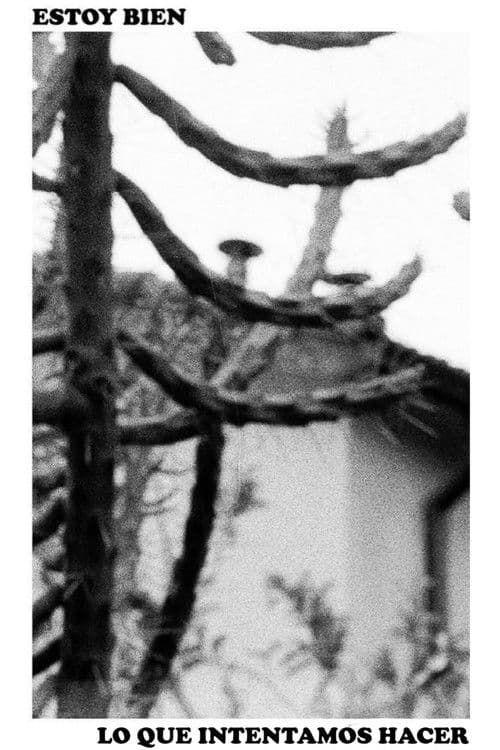 Estoy Bien - Lo Que Intentamos Hacer (Lanzamiento)