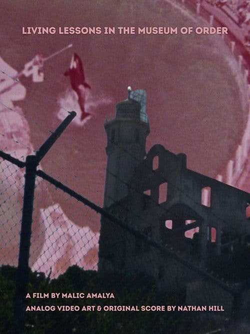 Living Lessons in the Museum of Order