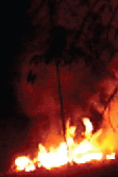 Todo flamboyán es una isla en llamas