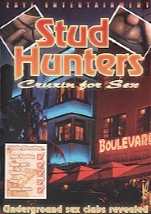 Stud Hunters: Cruisin' for Sex