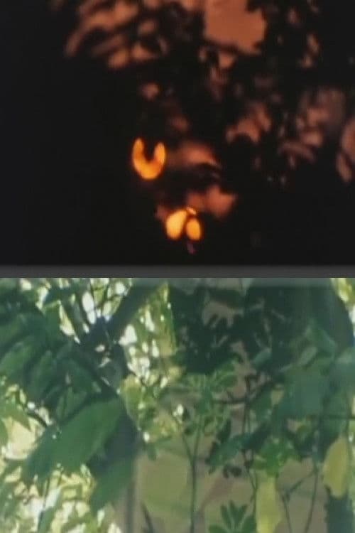 ざわめきの下で