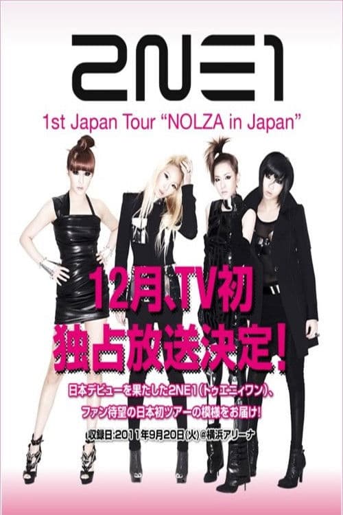 2NE1 1st Japan Tour "NOLZA in Japan"
