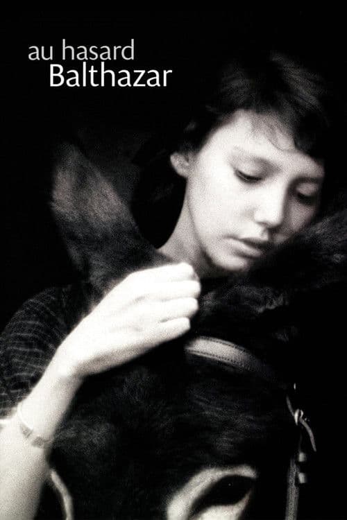 당나귀 발타자르