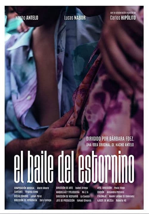 El baile del estornino