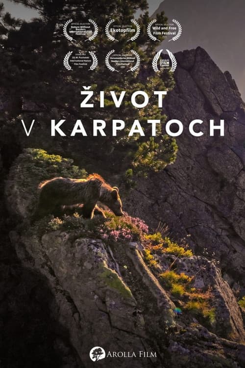 Život v Karpatoch