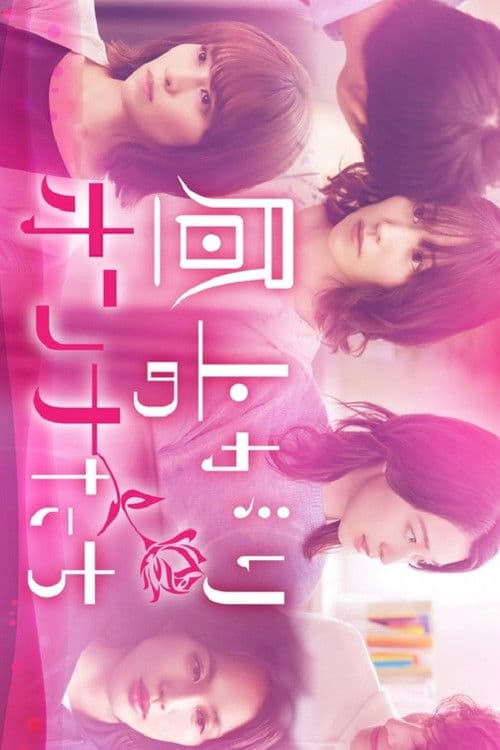 오후의 여자들~나의 선택~