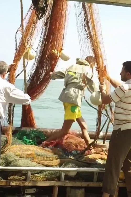 Aimer la mer à Gaza