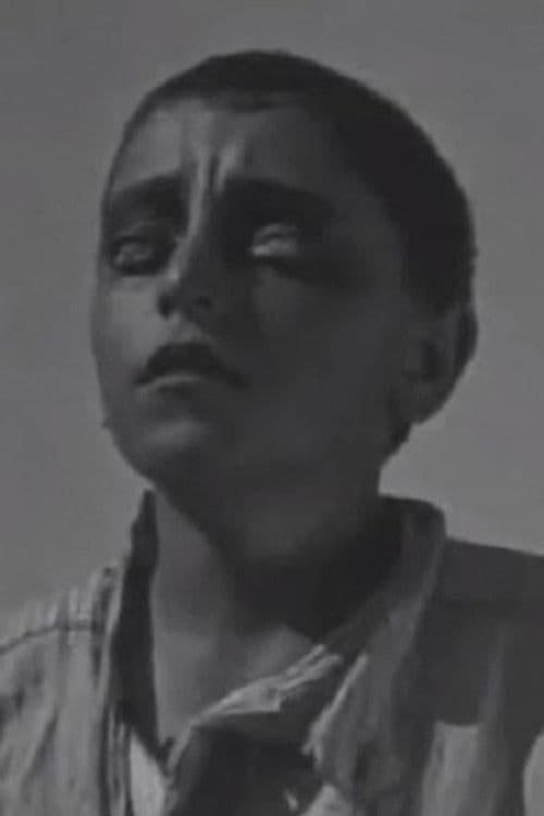 ვლადიმერ ჭიაურელი