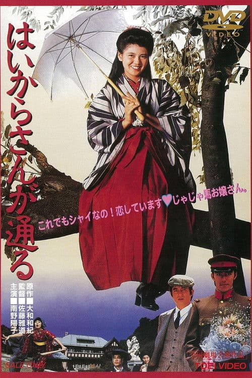 하이카라씨가 간다