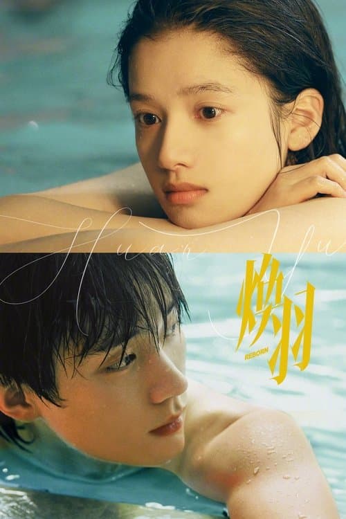 환우: 찬란히 빛나는