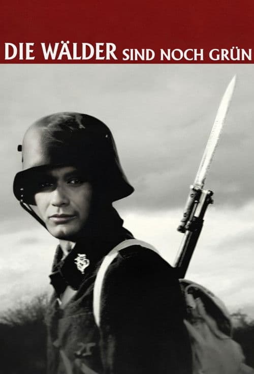 Die Wälder sind noch grün