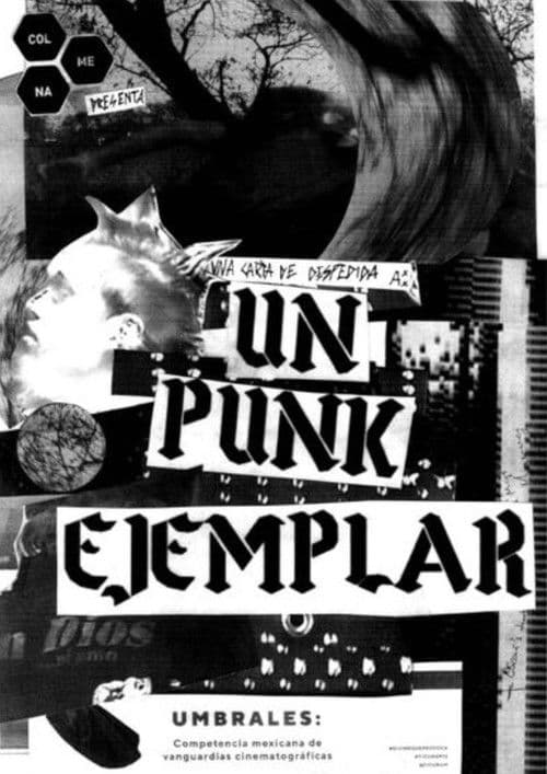 Un punk ejemplar