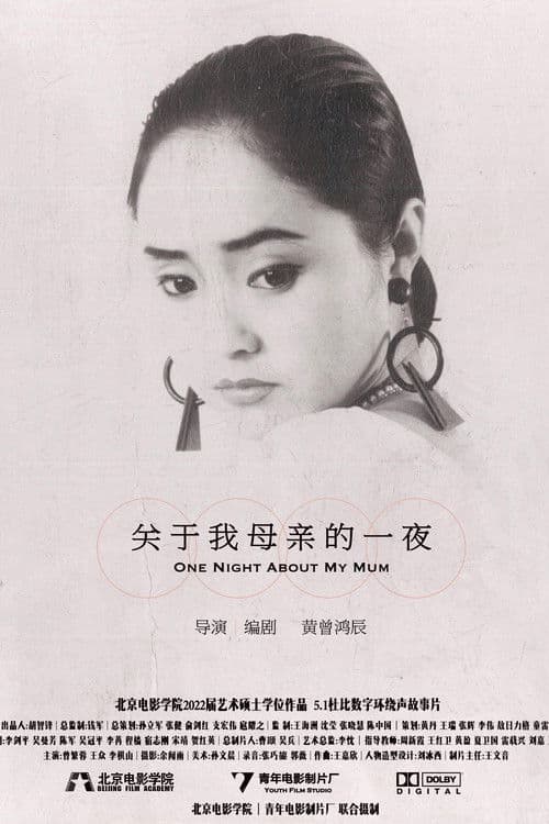 关于我母亲的一夜