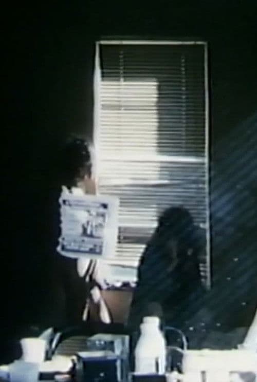 やはらかな午后の昼寝