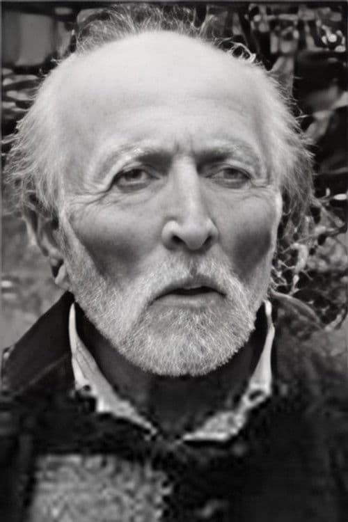 ვლადიმერ წულაძე