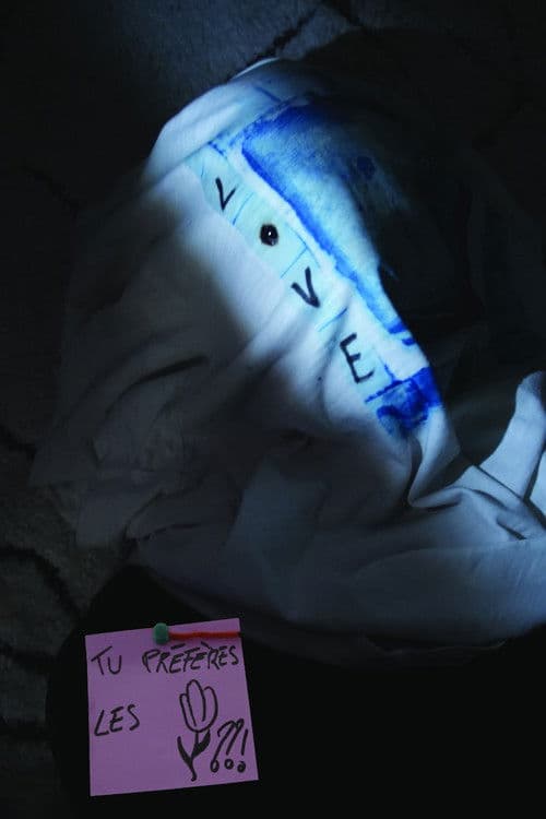 tu préfères les tulipes ??!