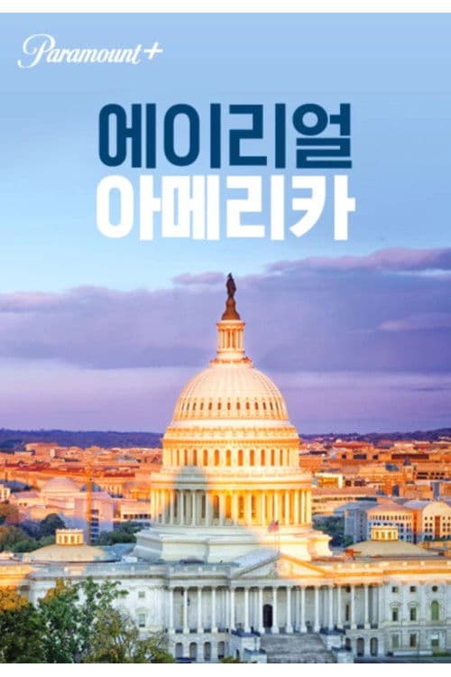 에이리얼 아메리카