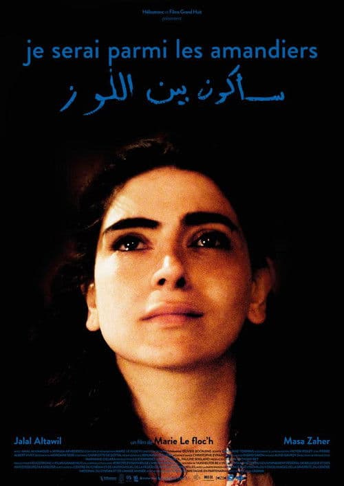 아몬드 나무 사이