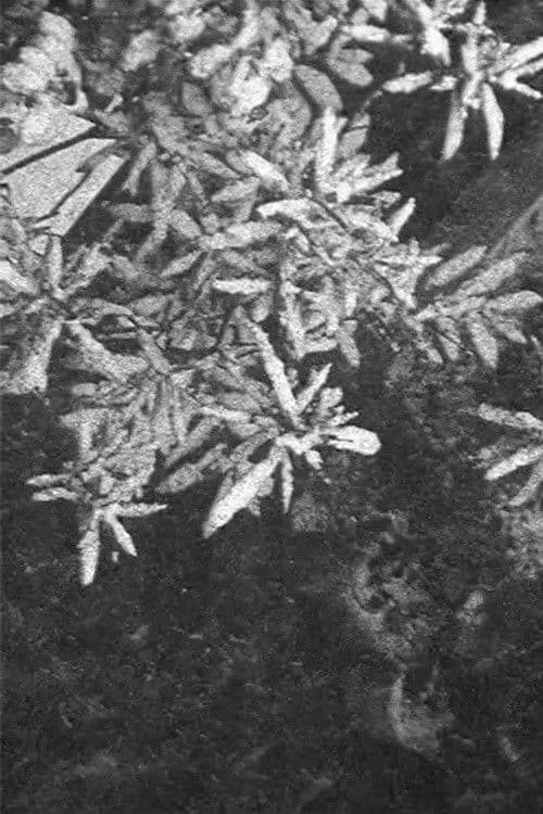 Konfiguration schwarz und weiss