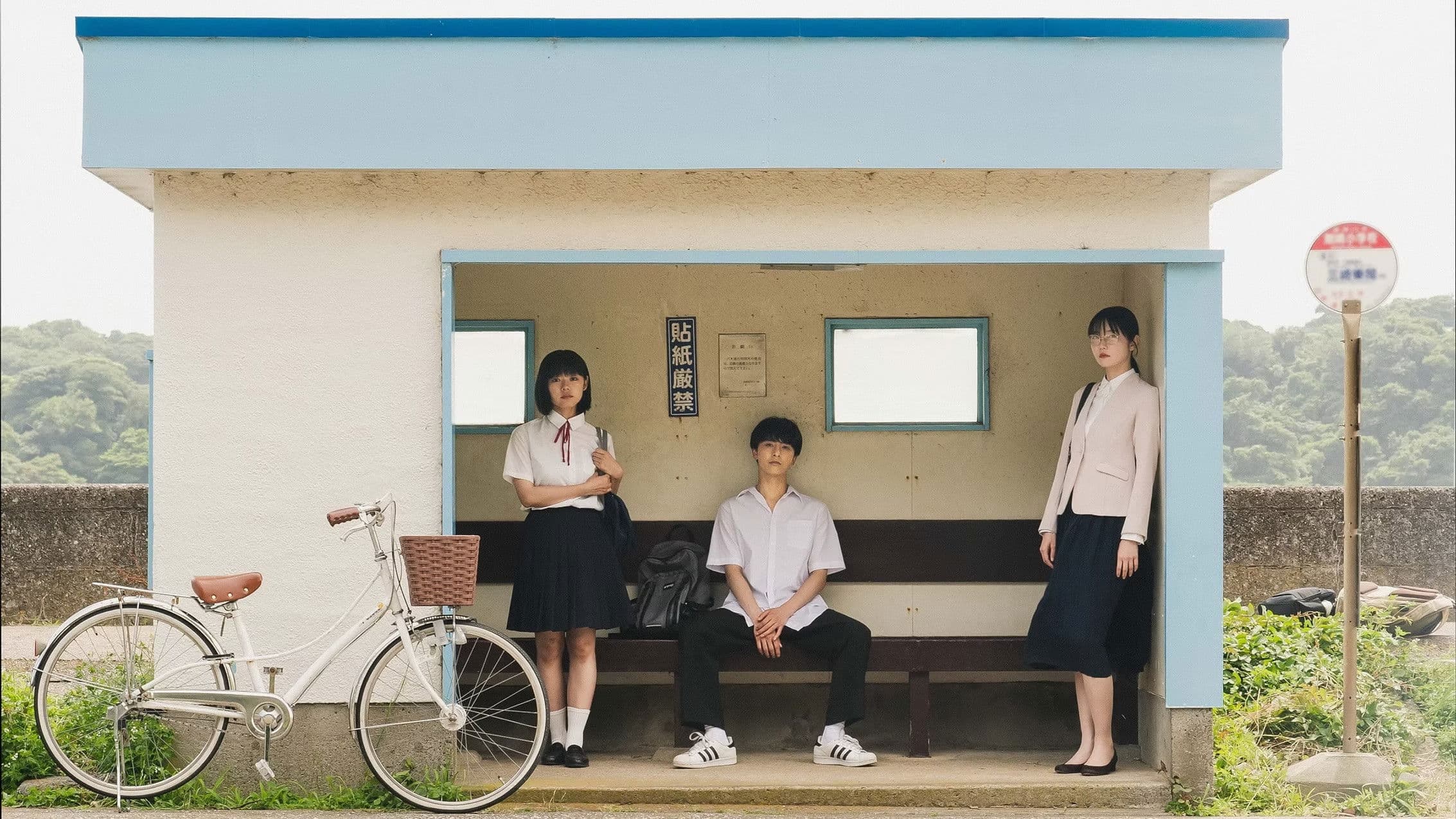 영 앤 파인 : 우리는 친구였을까?