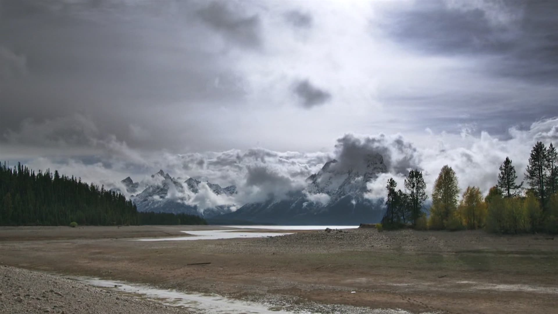 포퓰레이션 제로