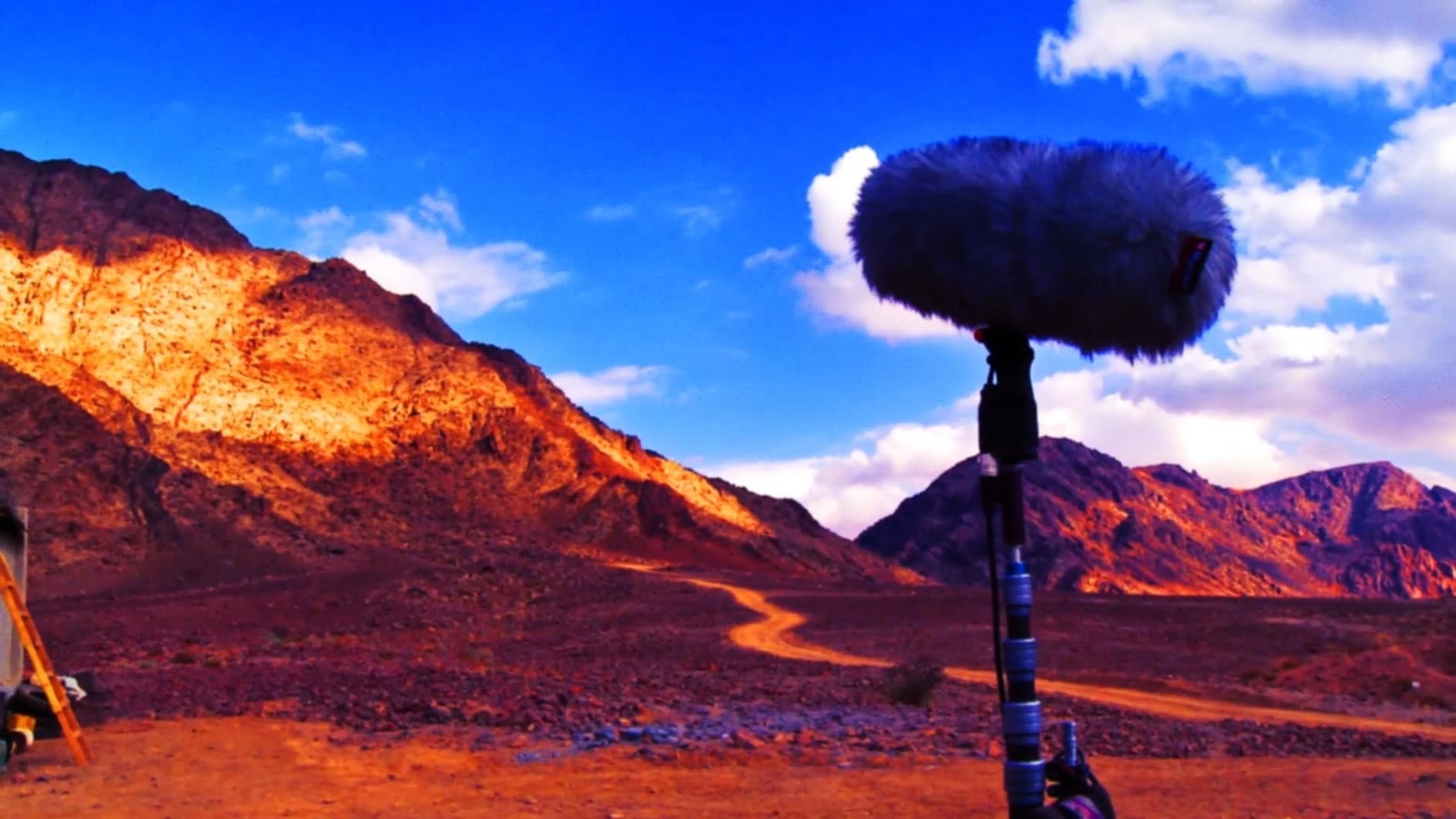 팀 홀튼의 머리를 가져와라