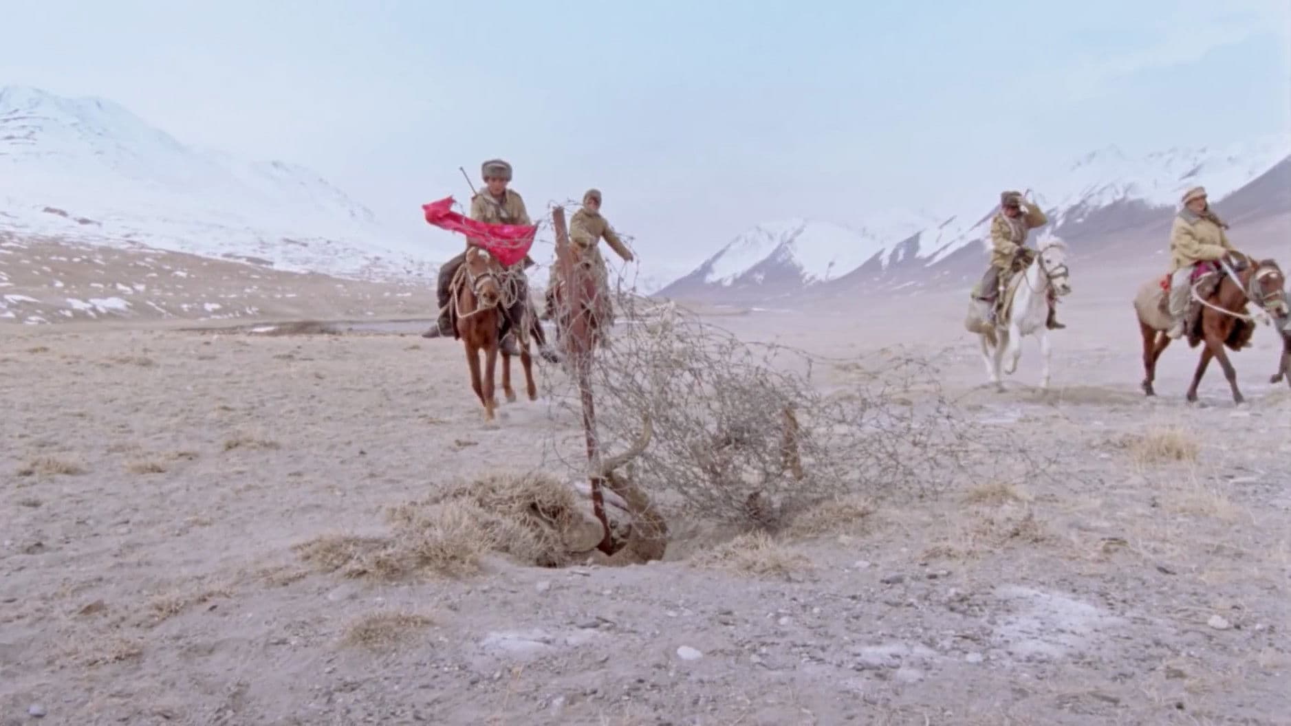 소년을 위한 나라는 없다