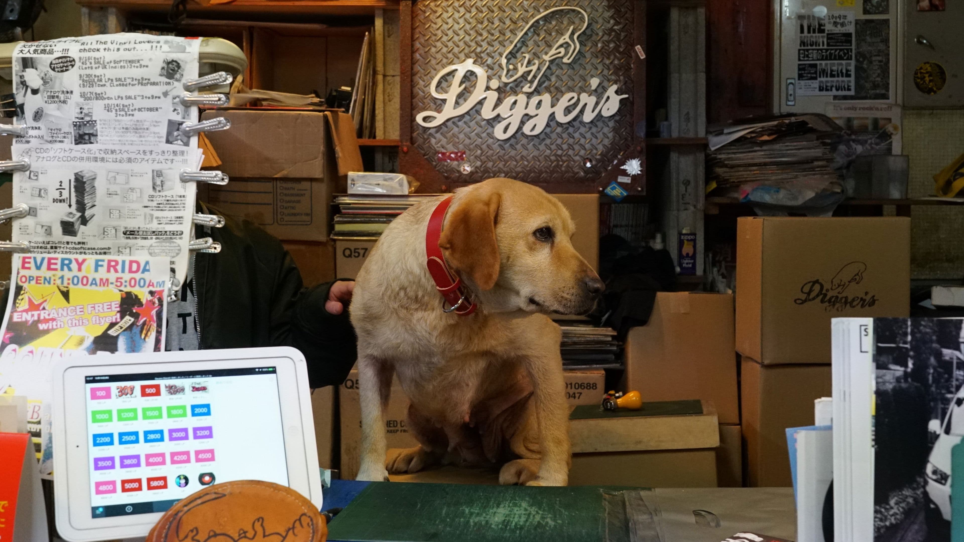 돈카츠 DJ 아게타로