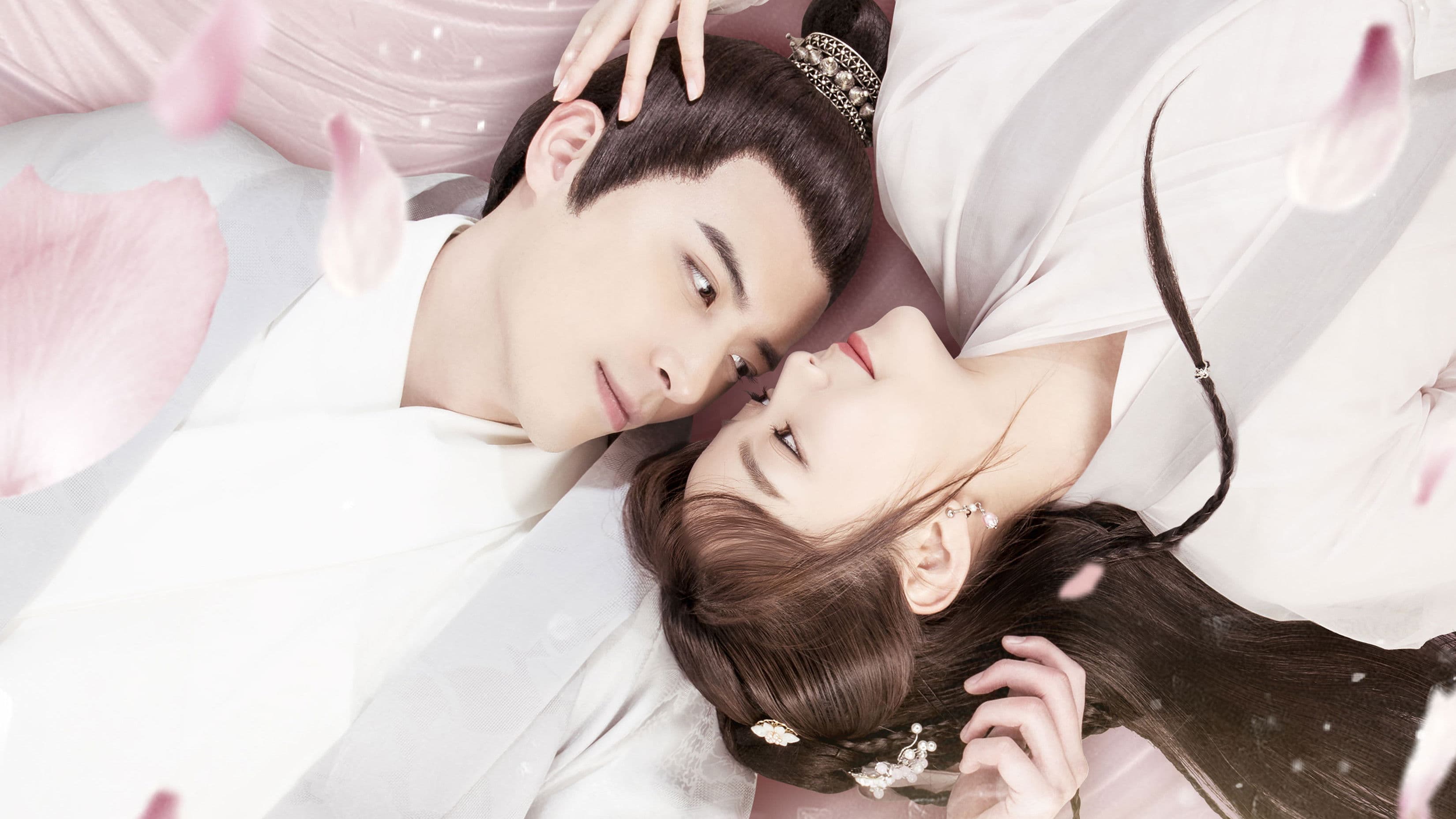 아재대리사당총물 : 나는 고양이로 일한다