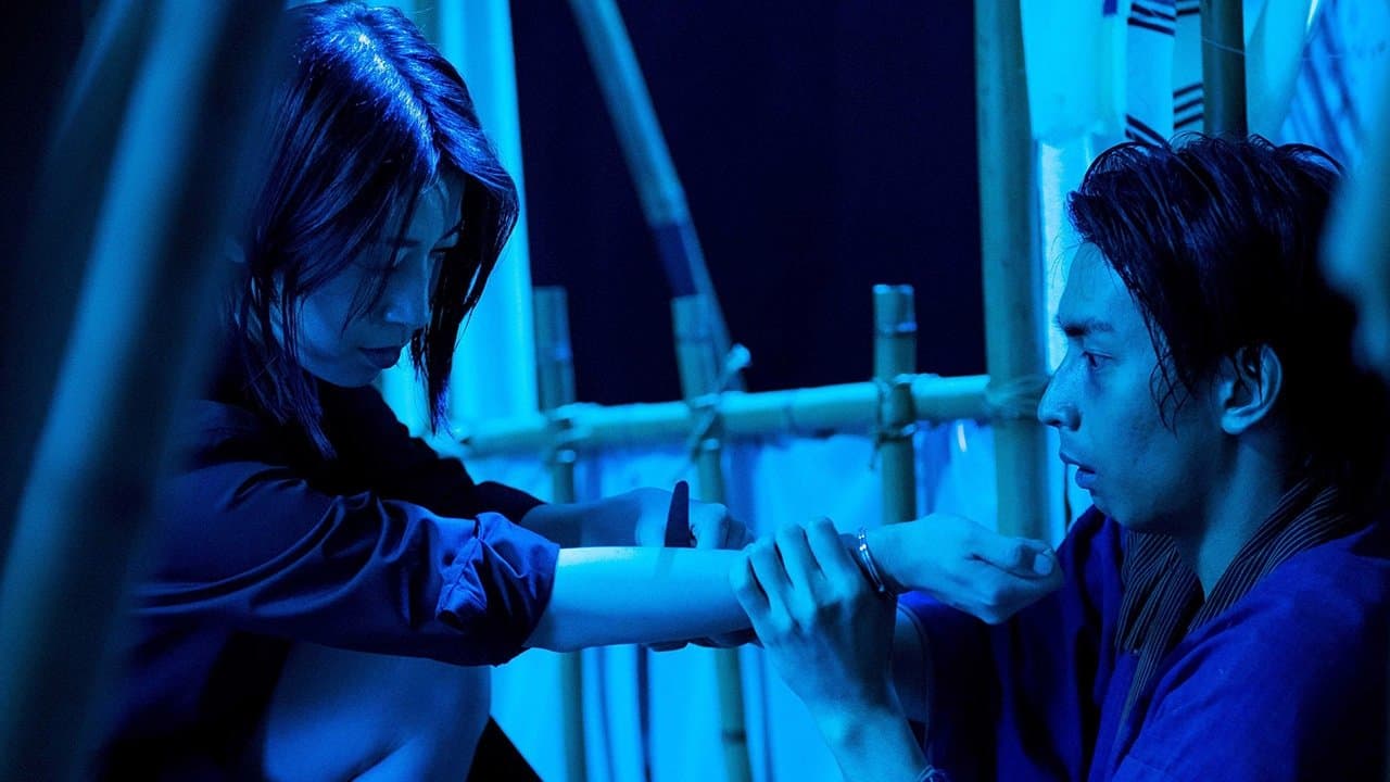 완전한 사육: 욕망의 시작