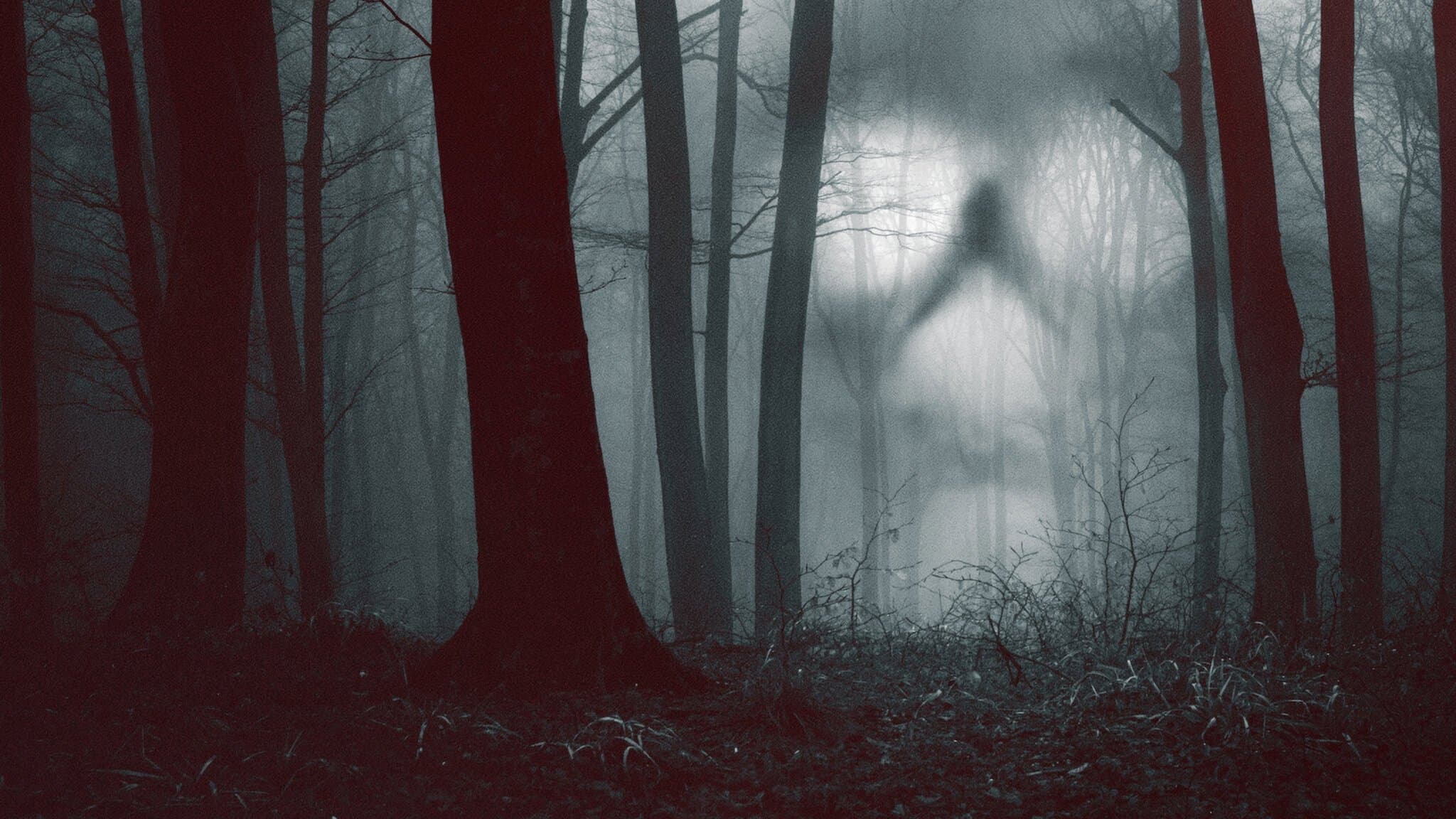 28일, 유령의 집에서