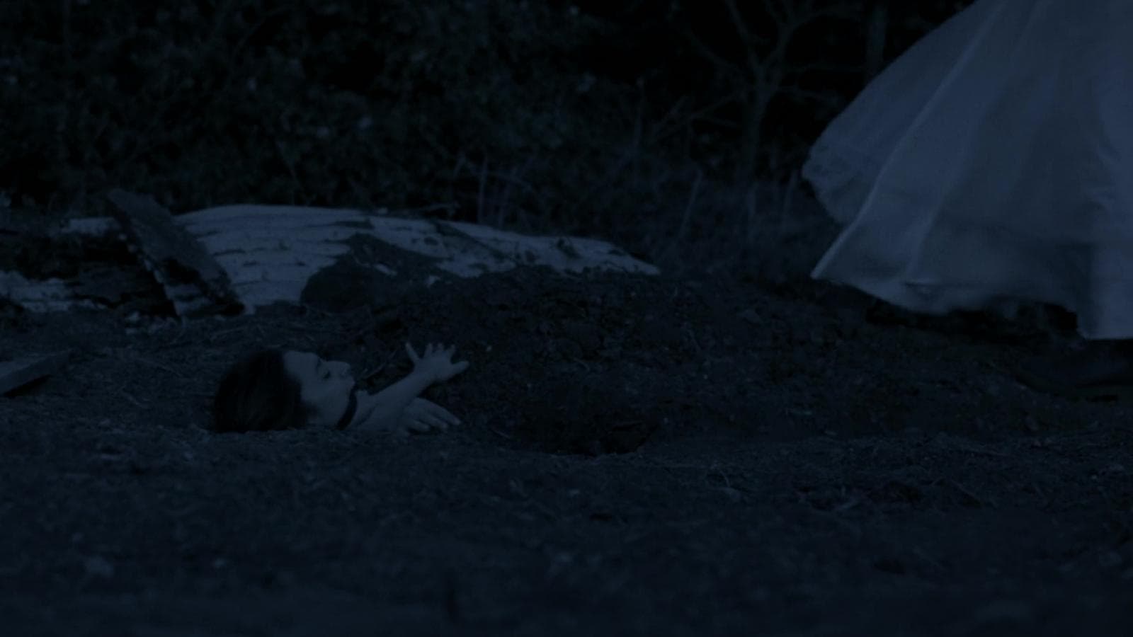 나이트메어 비긴즈