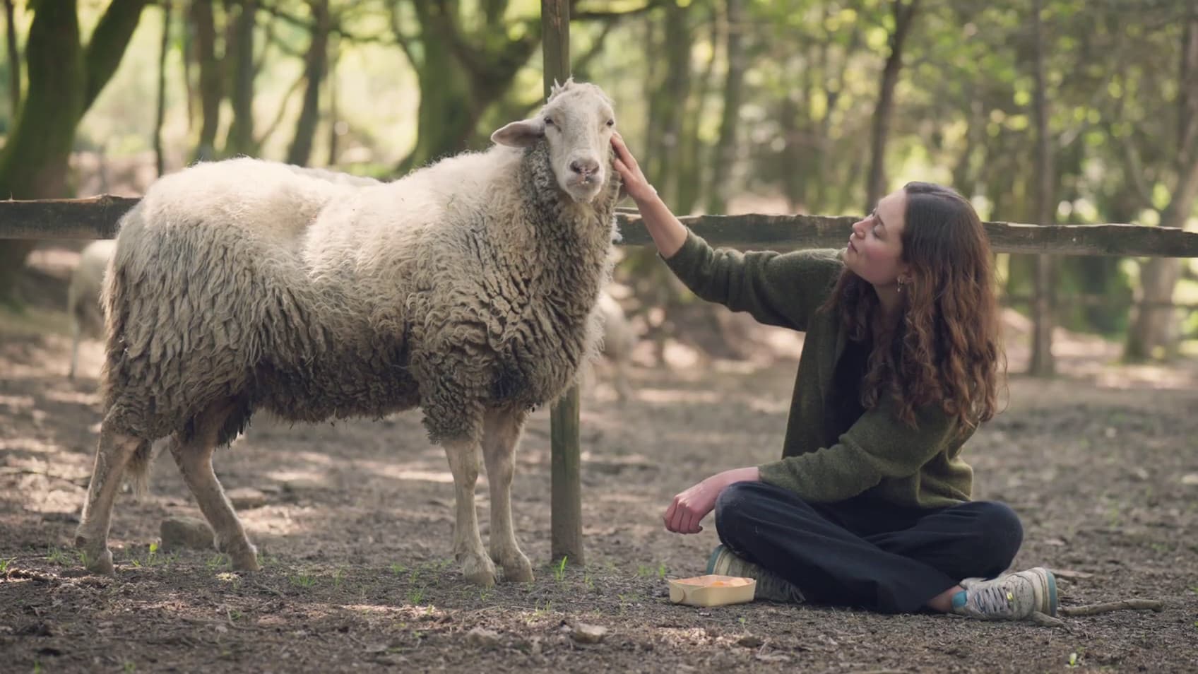 육식: 지속 불가능한 발자국