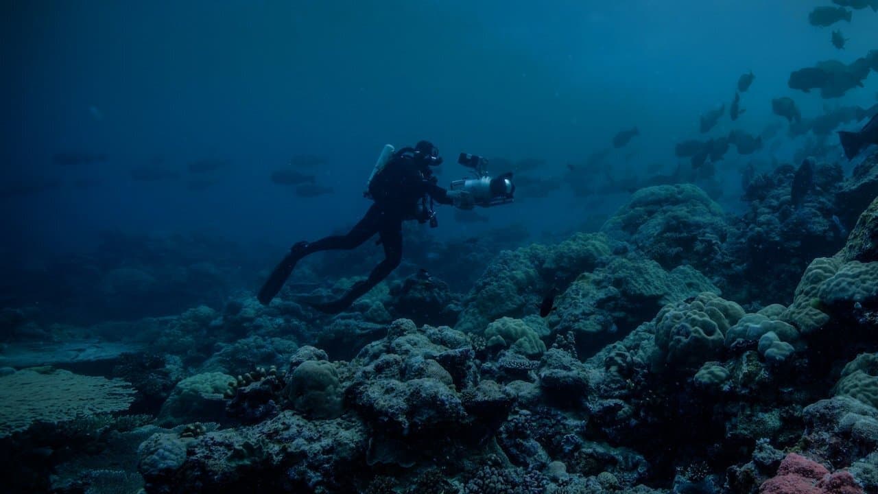 지구의 밤: 어둠 속의 카메라