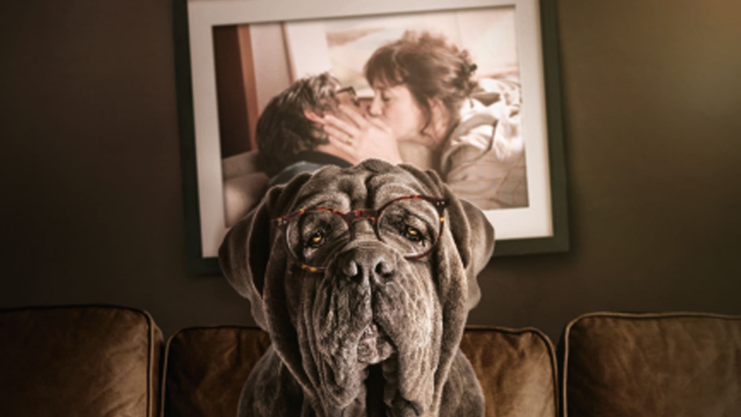 우리집 똥멍청이