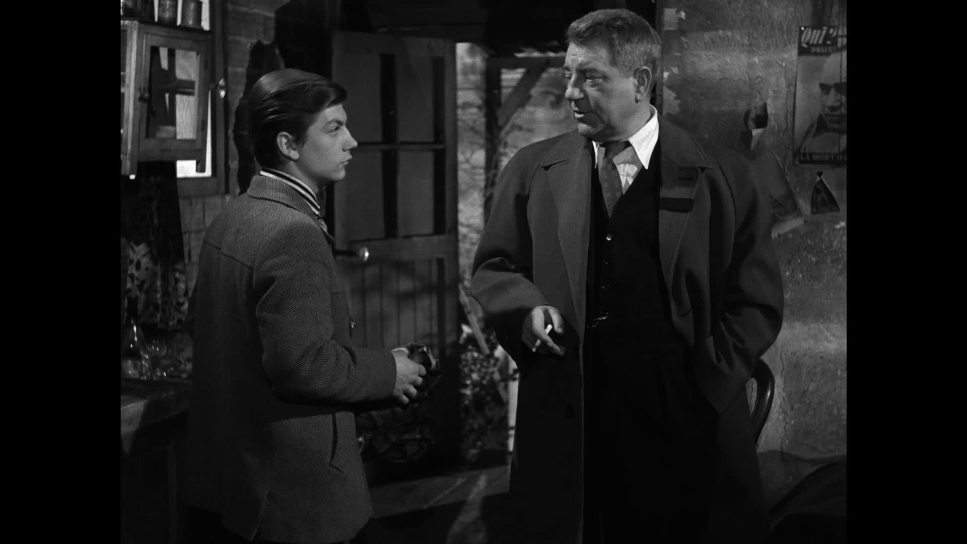 Chiens perdus sans collier