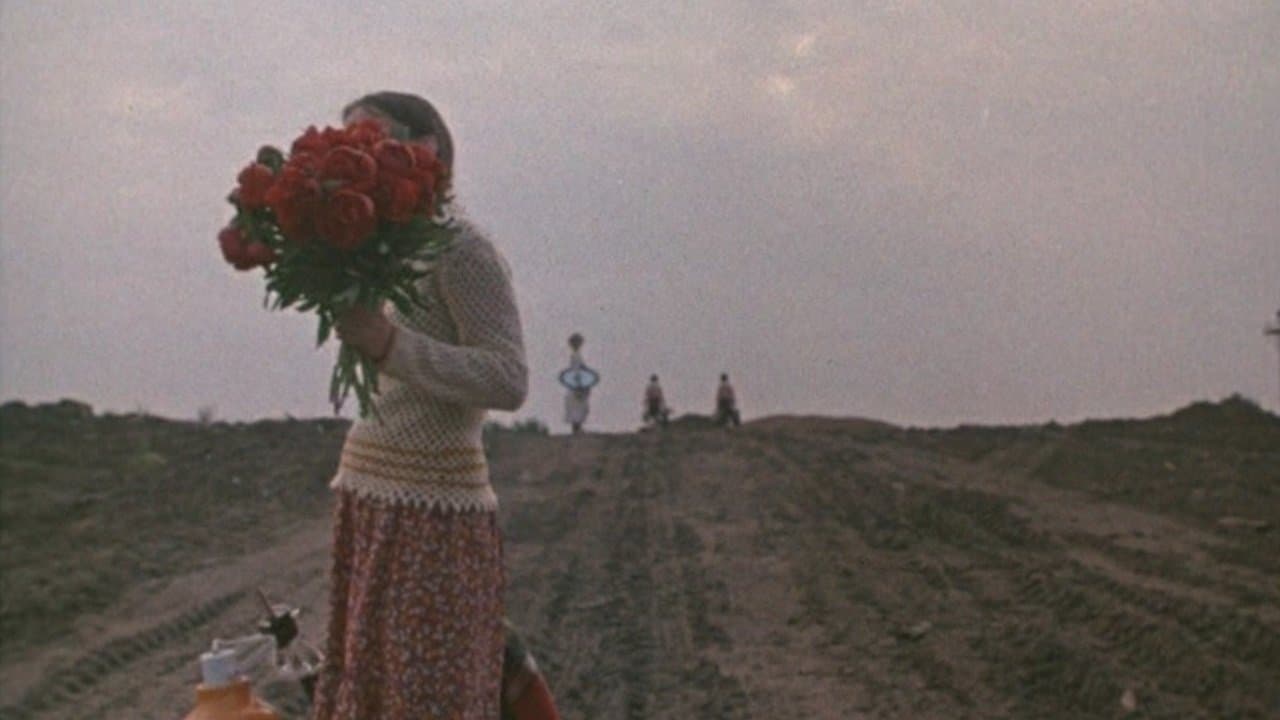 드넓은 세상을 알아가며