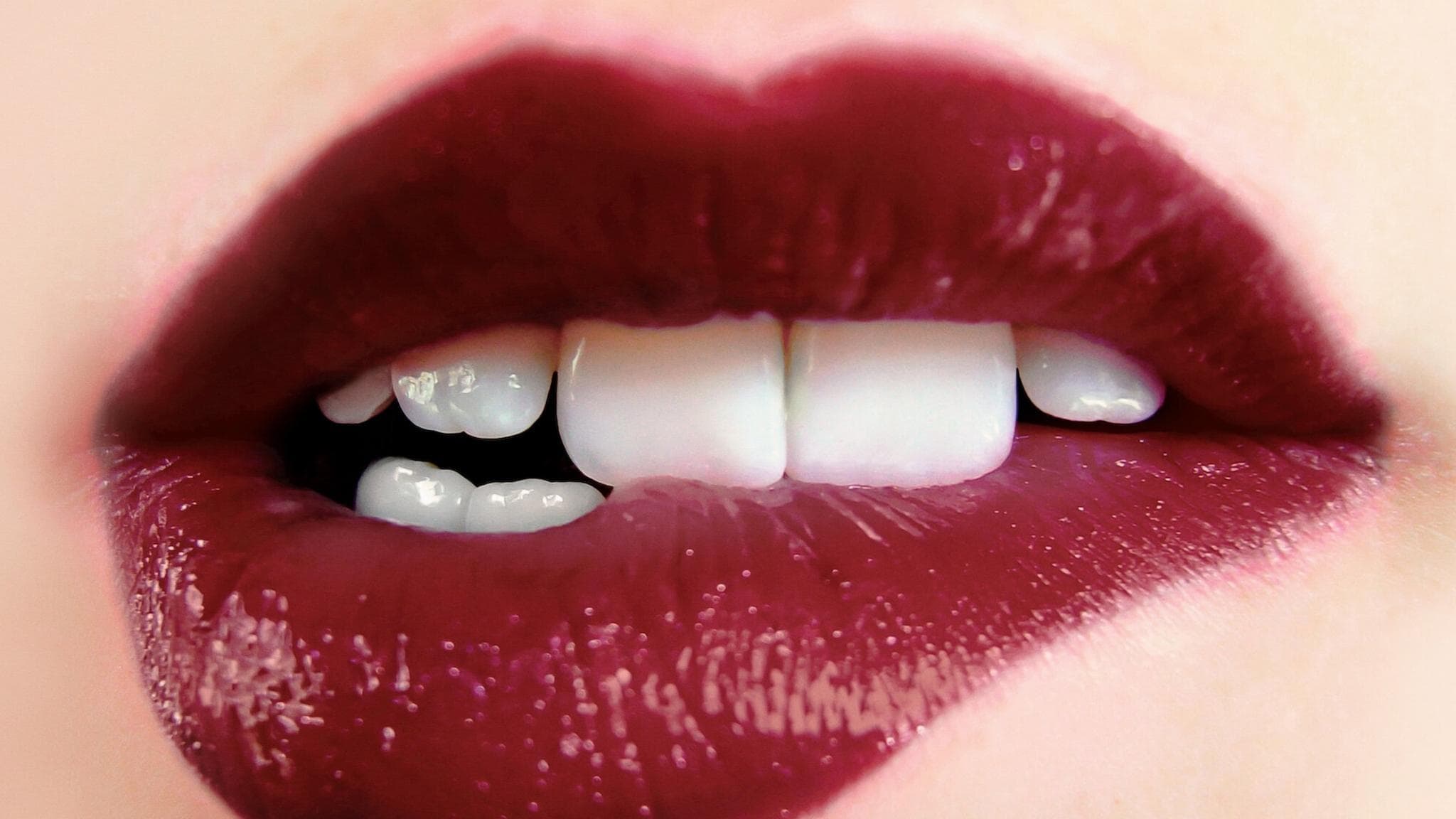 오르가즘 주식회사: 쾌락을 판 어느 회사의 진실